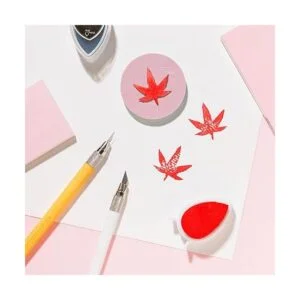 Tosnail Paquete de 16 bloques de tallado de sellos de goma