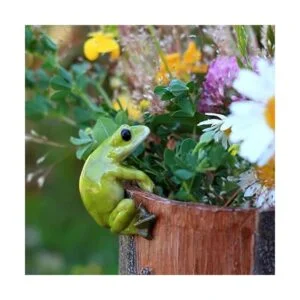 Top Collection Maceta y jarrón de rana en miniatura para_2