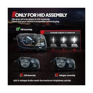 Torchbeam D3S HID Bombillas para faros delanteros 6000_6