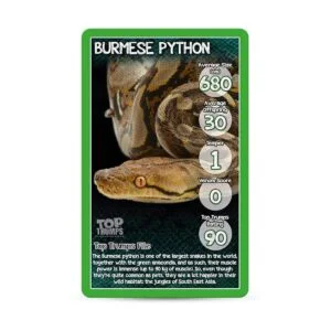 Top Trumps Snakes Card Game_2