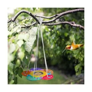 Comederos para pájaros de arte y manualidades para niños_5
