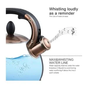 Tetera de acero inoxidable con silbido_4