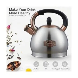 Tetera de acero inoxidable con silbido_2