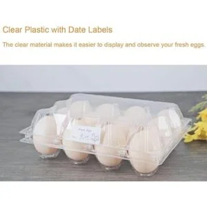 BULKBUY Cajas de huevos de 60 paquetes cajas de huevos en_6