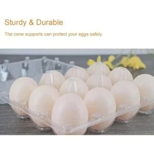 BULKBUY Cajas de huevos de 60 paquetes cajas de huevos en_5