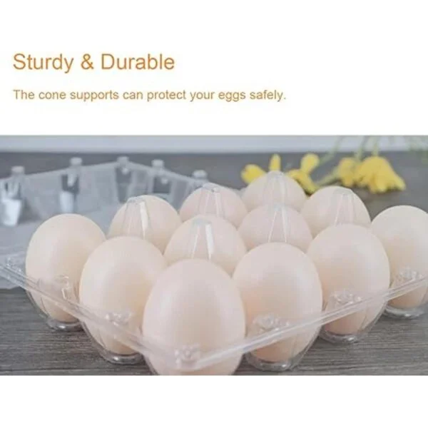 BULKBUY Cajas de huevos de 60 paquetes cajas de huevos en_5
