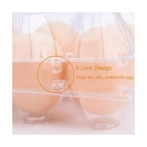 BULKBUY Cajas de huevos de 60 paquetes cajas de huevos en_3