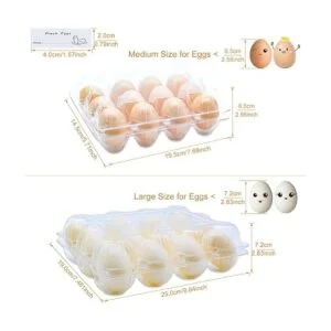 BULKBUY Cajas de huevos de 60 paquetes cajas de huevos en_2