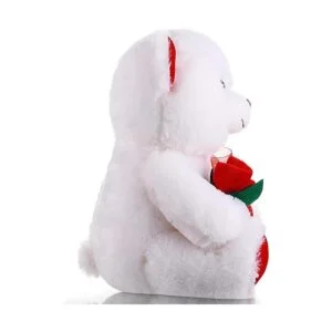 Animales de peluche para el día de San Valentín de peluche_4