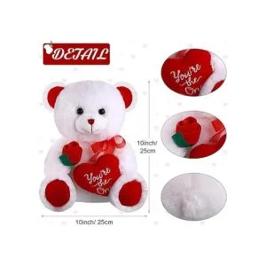 Animales de peluche para el día de San Valentín de peluche_2