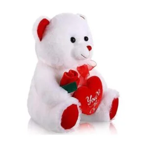 Animales de peluche para el día de San Valentín de peluche_3