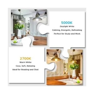 Bombillas LED equivalentes a 100 W 1500 lúmenes A19 de_3