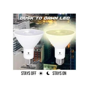 Paquete de 2 bombillas LED PAR30 de inundación del_3