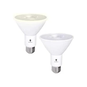 Paquete de 2 bombillas LED PAR30 de inundación del_1