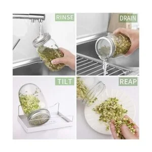 Kit de jarra de germinación de semillas 2 tarros de boca