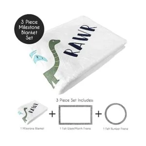 Sweet Jojo Designs Mod Dino Boy Milestone Manta mensual_2