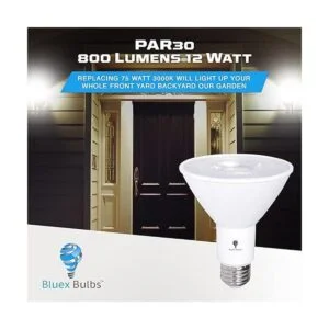 Paquete de 2 bombillas LED de inundación PAR30 para_3