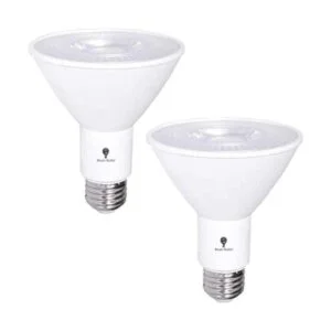 Paquete de 2 bombillas LED de inundación PAR30 para_1