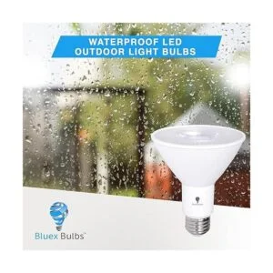 Paquete de 2 bombillas LED de inundación PAR30 para_4