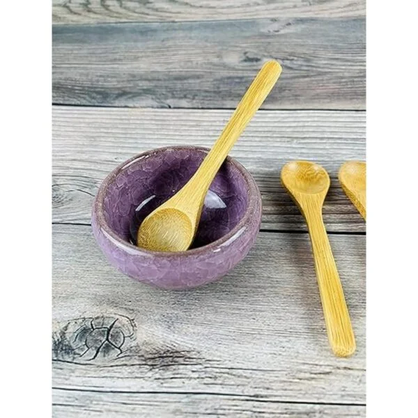 JapanBargain Cucharas de bambú para té o especias 2 4 x
