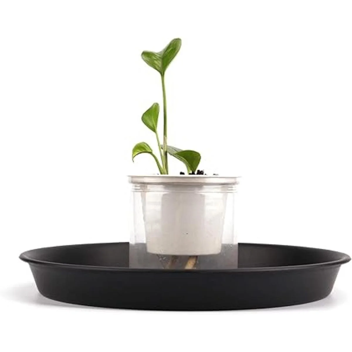 KEILEOHO 15 platillos para plantas de 12 pulgadas bandeja_4