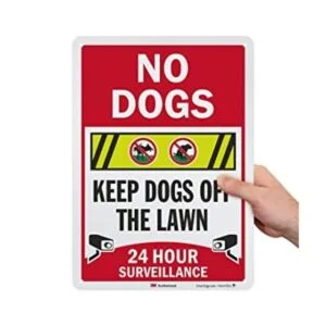 SmartSign Letrero No Dogs Keep Dogs Off The Lawn 24_1