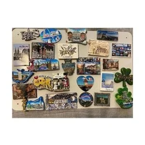 CMS MAGNETICS Organizador de pared de acero inoxidable de