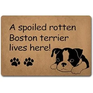 Felpudo divertido felpudo personalizado con un felpudo de