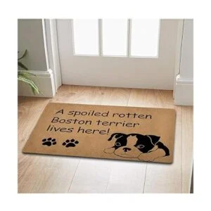 Felpudo divertido felpudo personalizado con un felpudo de