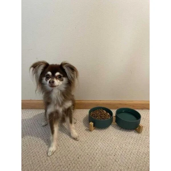 Juego de cuencos de cerámica para perros y gatos con_2