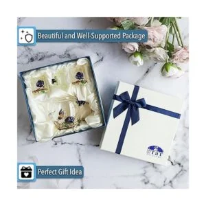 BTaT Juego de té de vidrio pequeño 2 tazas elegantes