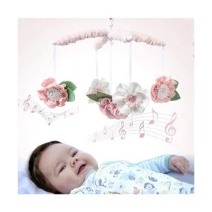 The Peanutshell Caja de música digital con 12 canciones de