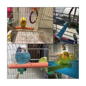 Recipientes de alimentación de pájaros soporte de perca