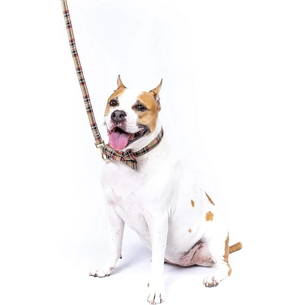 Juego de collar y correa para perro escoceses de tartán