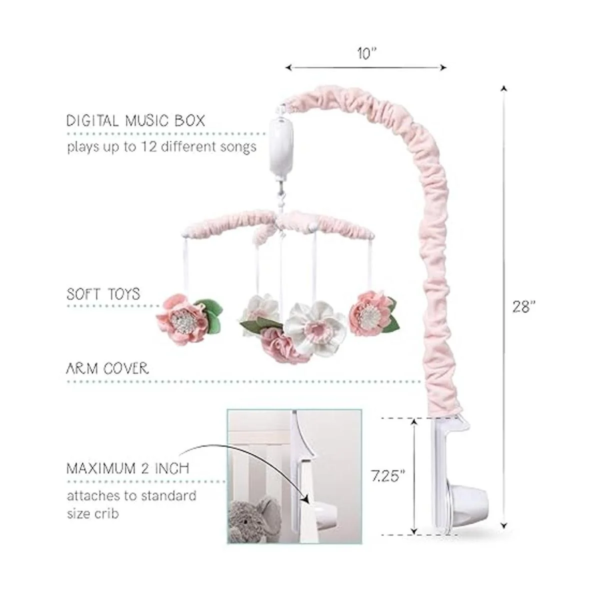 The Peanutshell Caja de música digital con 12 canciones de