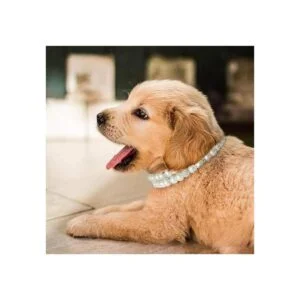 KUDES Collares de perlas para perros y gatos con diamantes