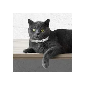 KUDES Collares de perlas para perros y gatos con diamantes