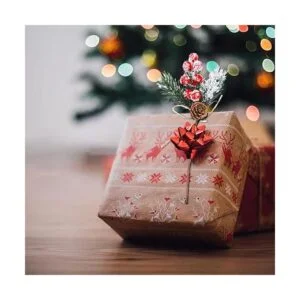 FUTERLY 10 Pcs Christmas Berries Pine Cones for DIY