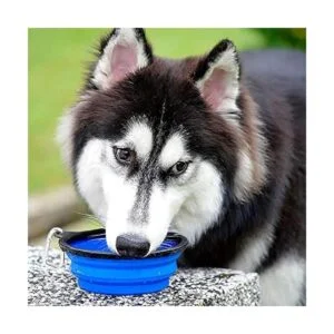 Kytely Paquete de 2 cuencos plegables grandes para perros_6
