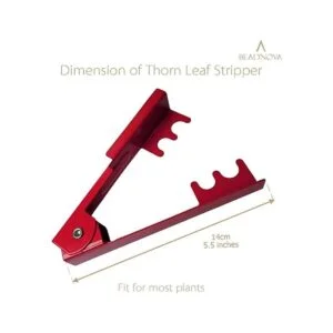 BEADNOVA Herramienta para pelar espinas de espinas de_2