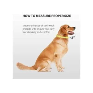Hyhug Pets Collar básico clásico de color sólido para