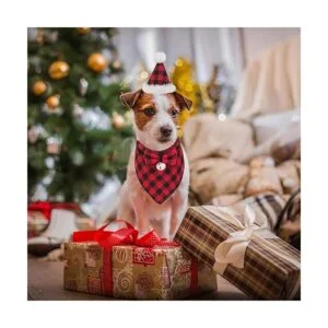 ADOGGYGO Bandana de Navidad para perro juego de corbatín_2