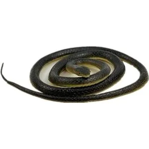 Serpiente de goma realista 2 piezas serpiente falsa de_3