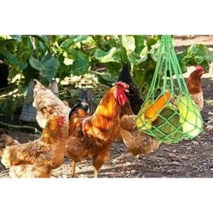 CooShou Bolsa de cuerda de pollo y verduras para aves de_5