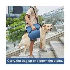 COODEO Arnés de transporte para perros mochila de_3
