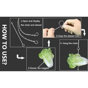 Comedero colgante de verduras de pollo para gallinas_6