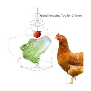 Comedero colgante de verduras de pollo para gallinas_4