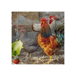 Pincho de pollo y verduras para colgar verduras_2