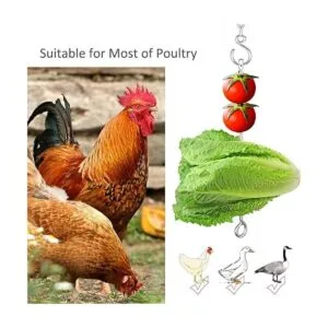 Comedero colgante de verduras de pollo para gallinas_2