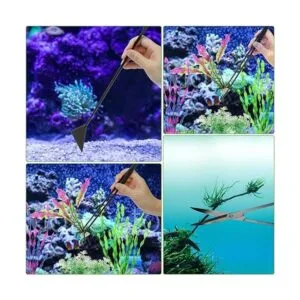 Catcan Quarium Aquascape Kit de herramientas 4 en 1